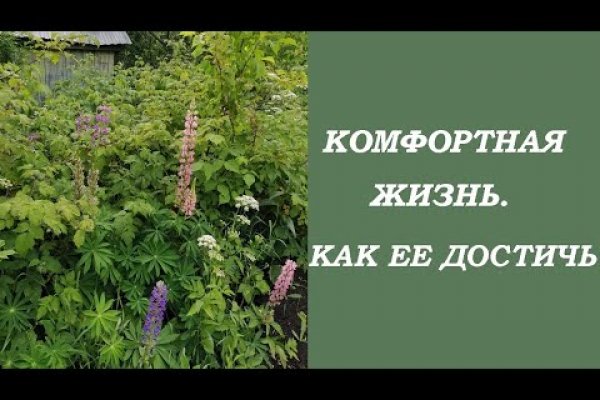 Кракен вход зеркало
