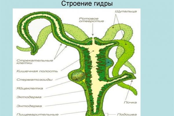 Кракен сайт войти