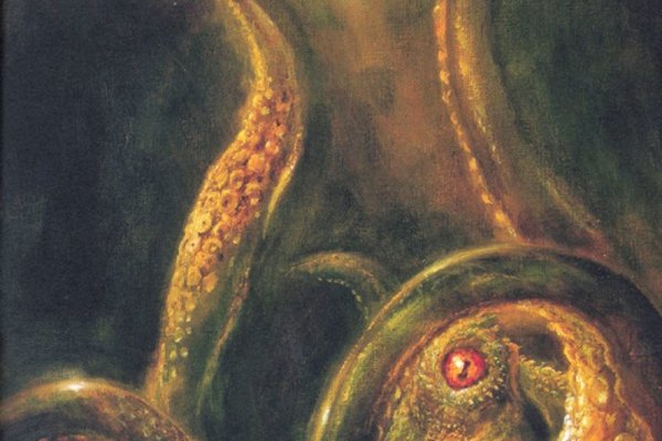 Kraken kraken link24 info