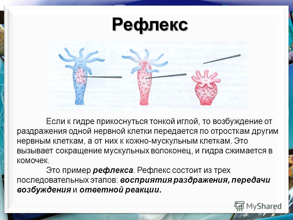 Кракен сайт вход официальный зеркало